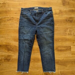 Madewell 10" High-Rise Skinny Ultra Crop Jeans Size 34